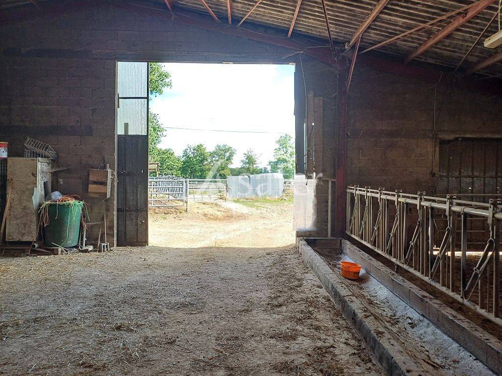 Propriété d'élevage très bien groupée sur 127,5 ha