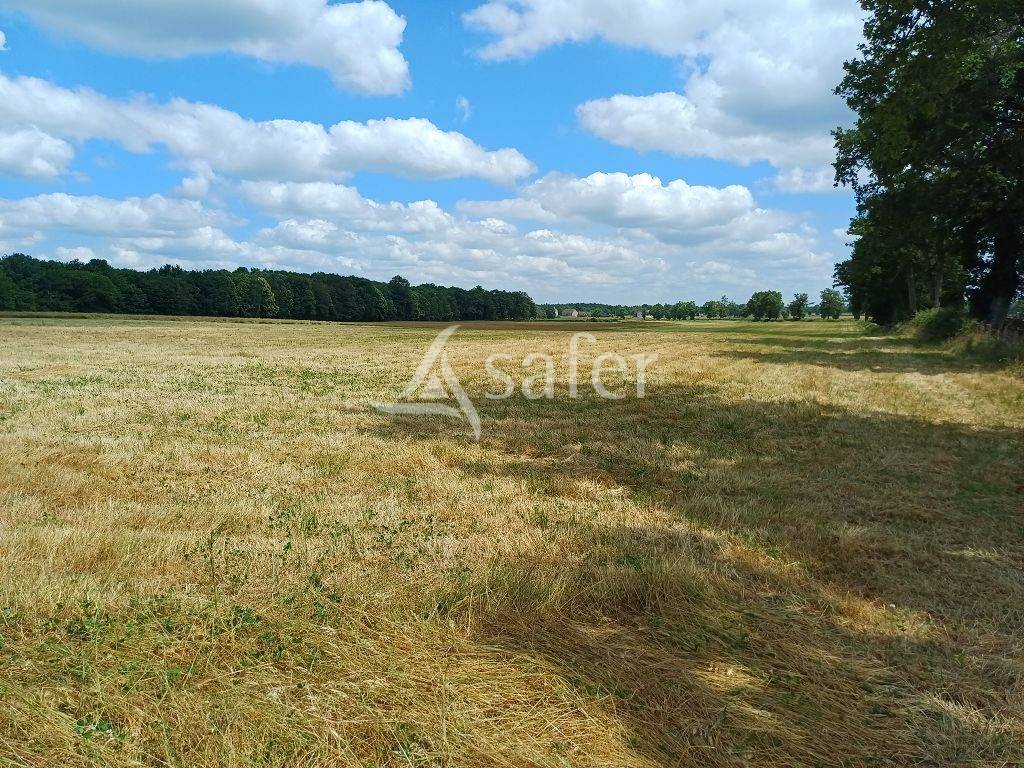 Propriété d'élevage très bien groupée sur 127,5 ha