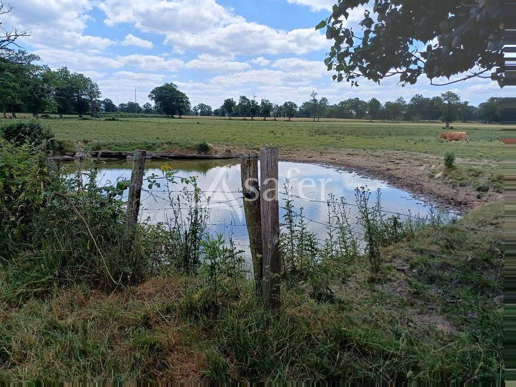 Propriété d'élevage très bien groupée sur 127,5 ha