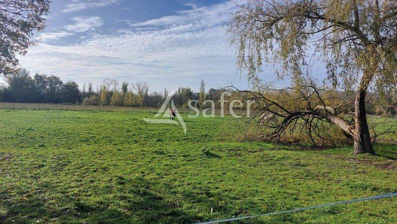 Propriété CHEVAUX DE LOISIRS - rive droite BORDEAUX