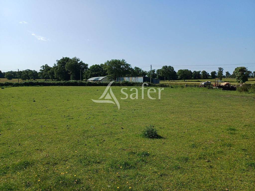 Propri&eacute;t&eacute; d'&eacute;levage d'environ 94 ha 50 bien group&eacute;s