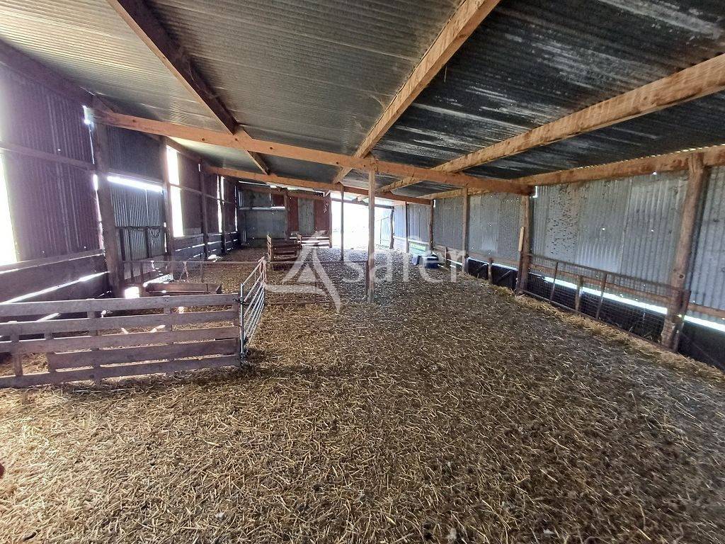 Propri&eacute;t&eacute; d'&eacute;levage d'environ 94 ha 50 bien group&eacute;s