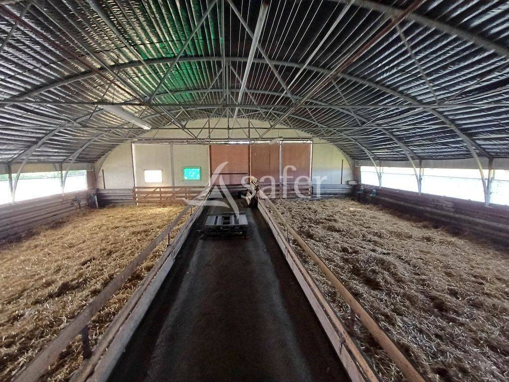 Propri&eacute;t&eacute; d'&eacute;levage d'environ 94 ha 50 bien group&eacute;s