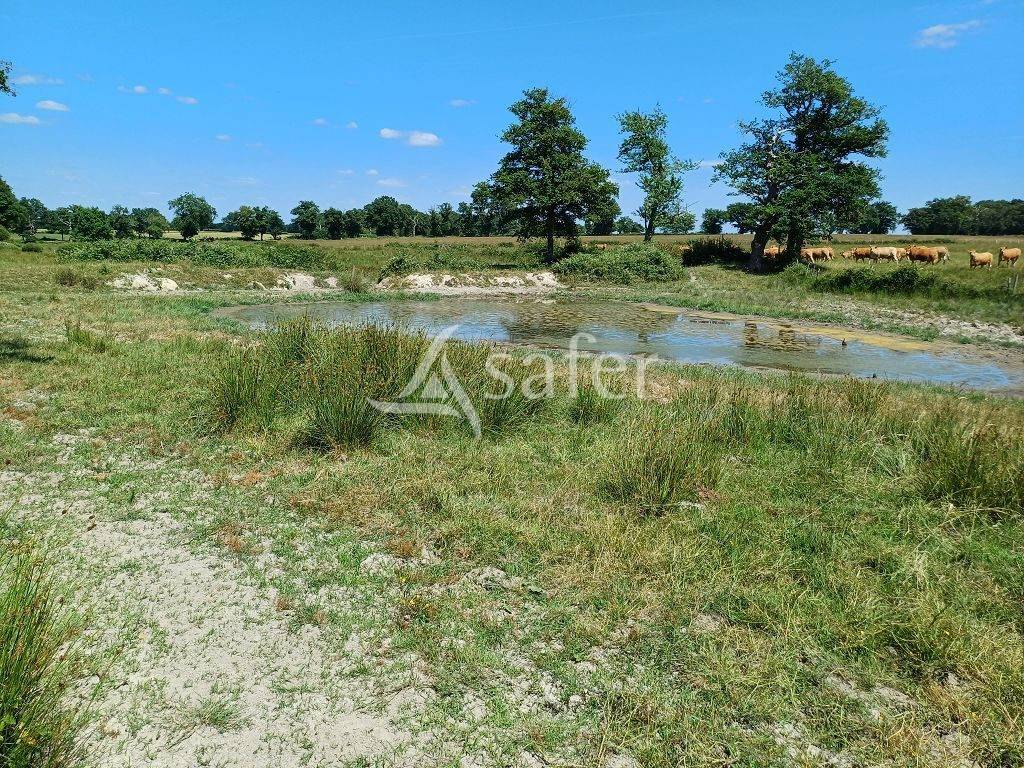 Propri&eacute;t&eacute; d'&eacute;levage d'environ 94 ha 50 bien group&eacute;s