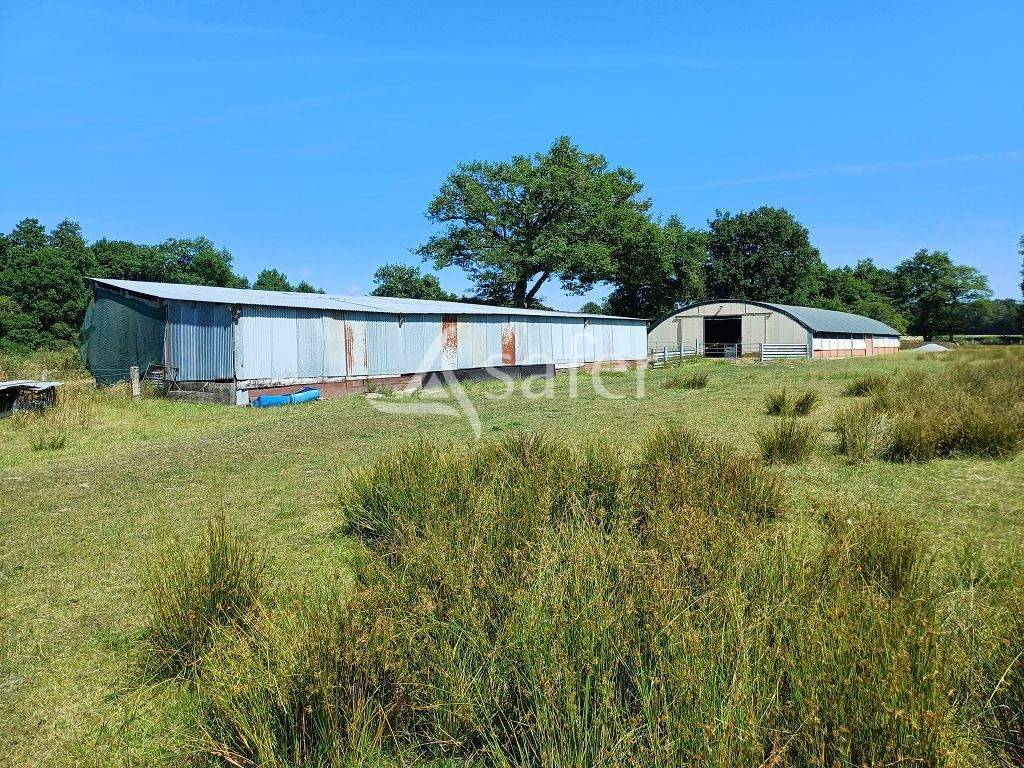 Propri&eacute;t&eacute; d'&eacute;levage d'environ 94 ha 50 bien group&eacute;s