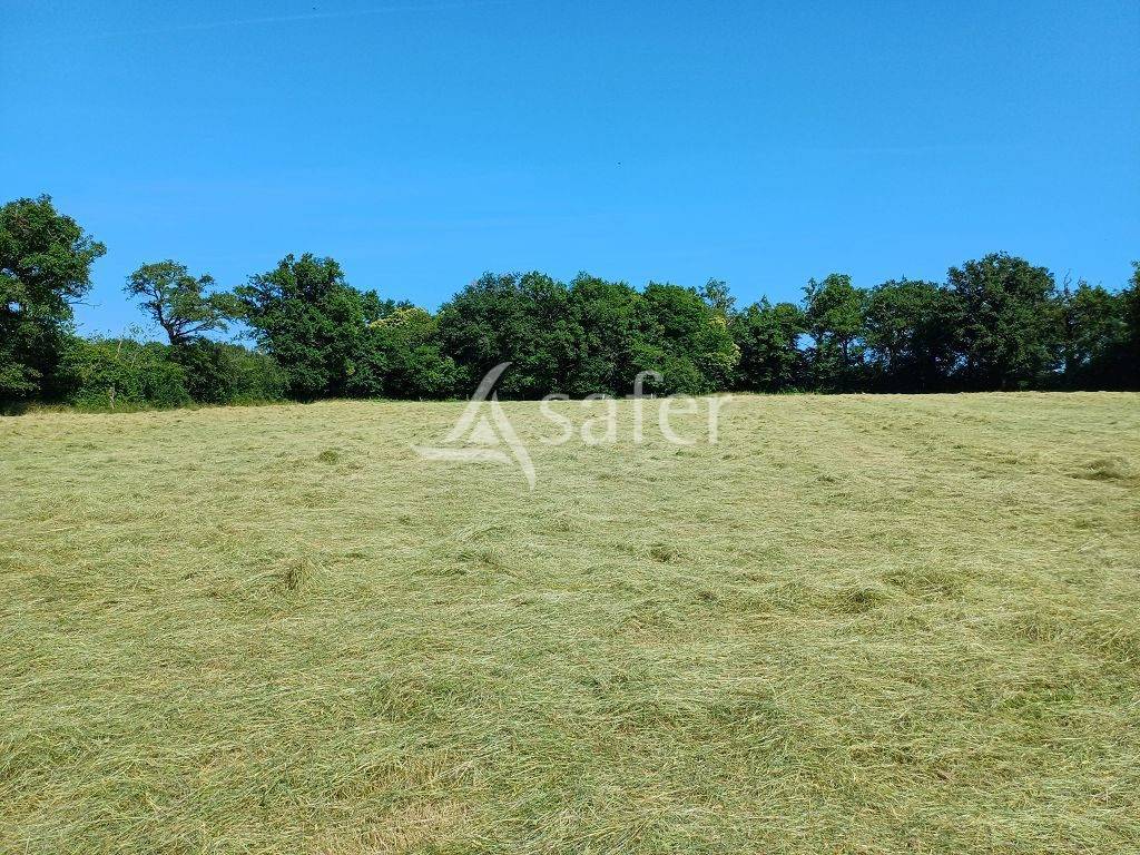 Propri&eacute;t&eacute; d'&eacute;levage d'environ 94 ha 50 bien group&eacute;s