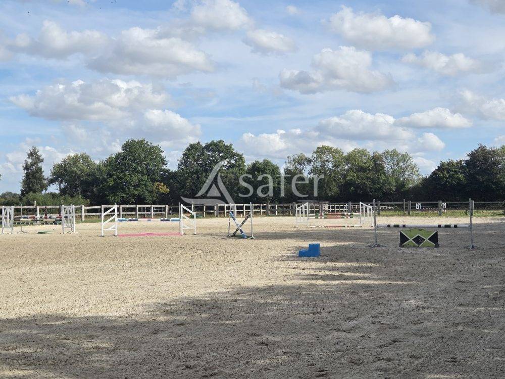 Haras chevaux de sport Pays d'Auge