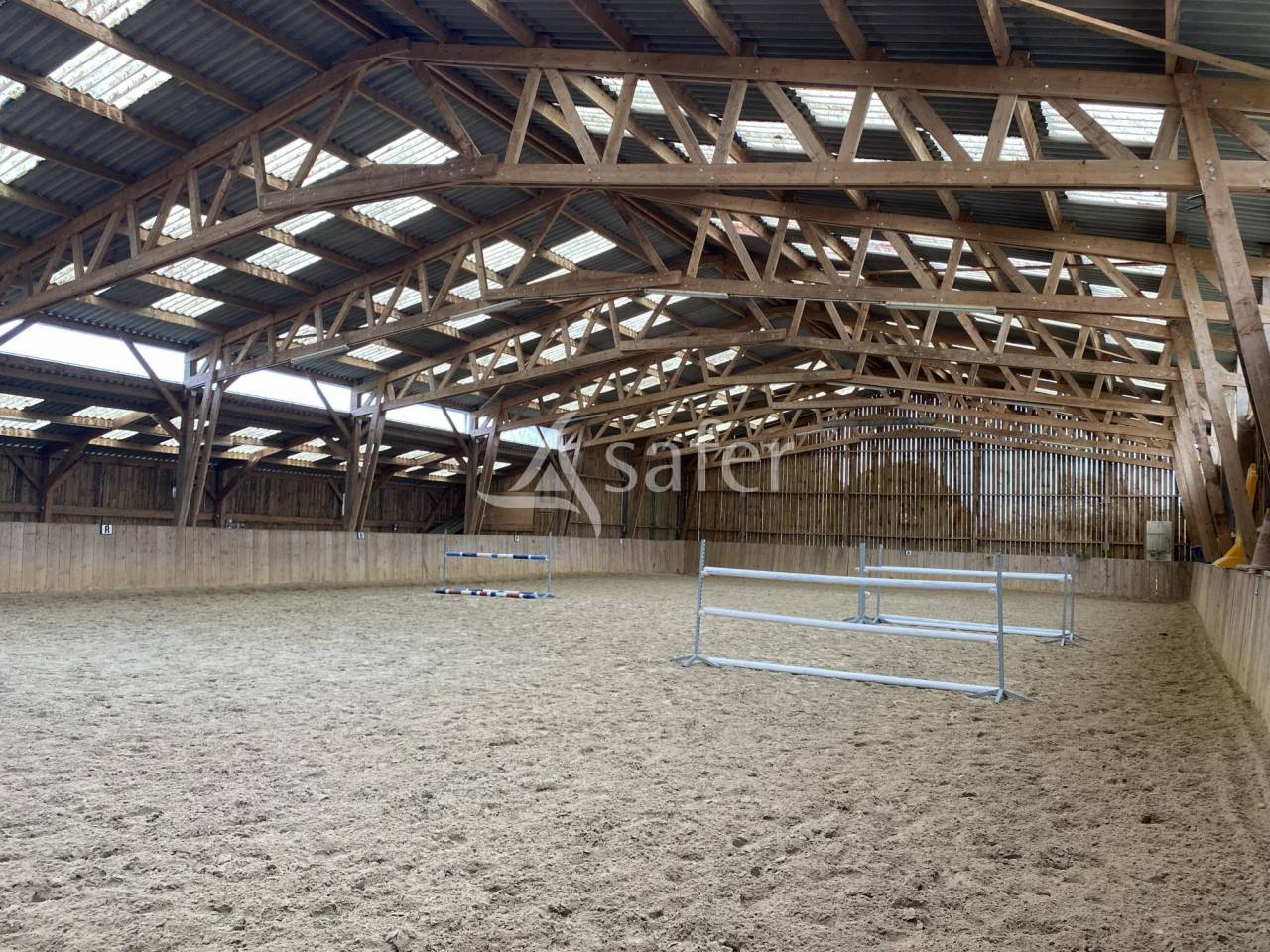 Haras chevaux de sport Pays d'Auge