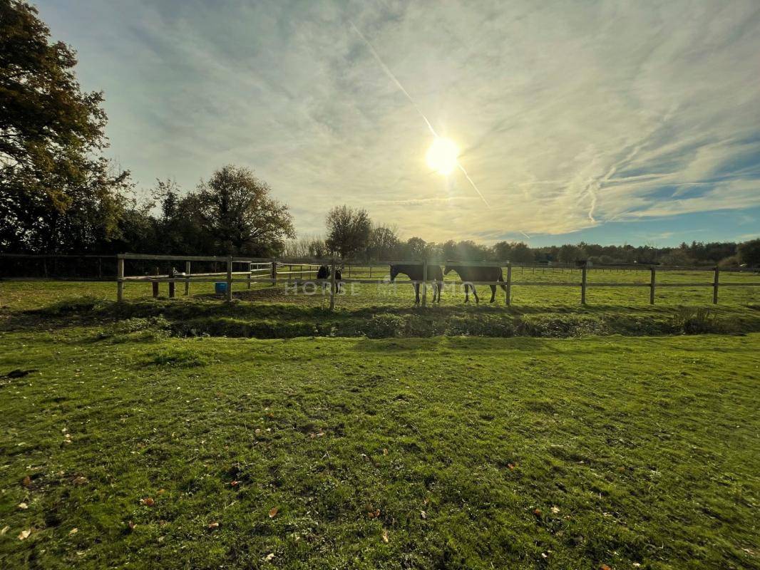 Propriété Equestre 10 hectares, idéal Premier Achat