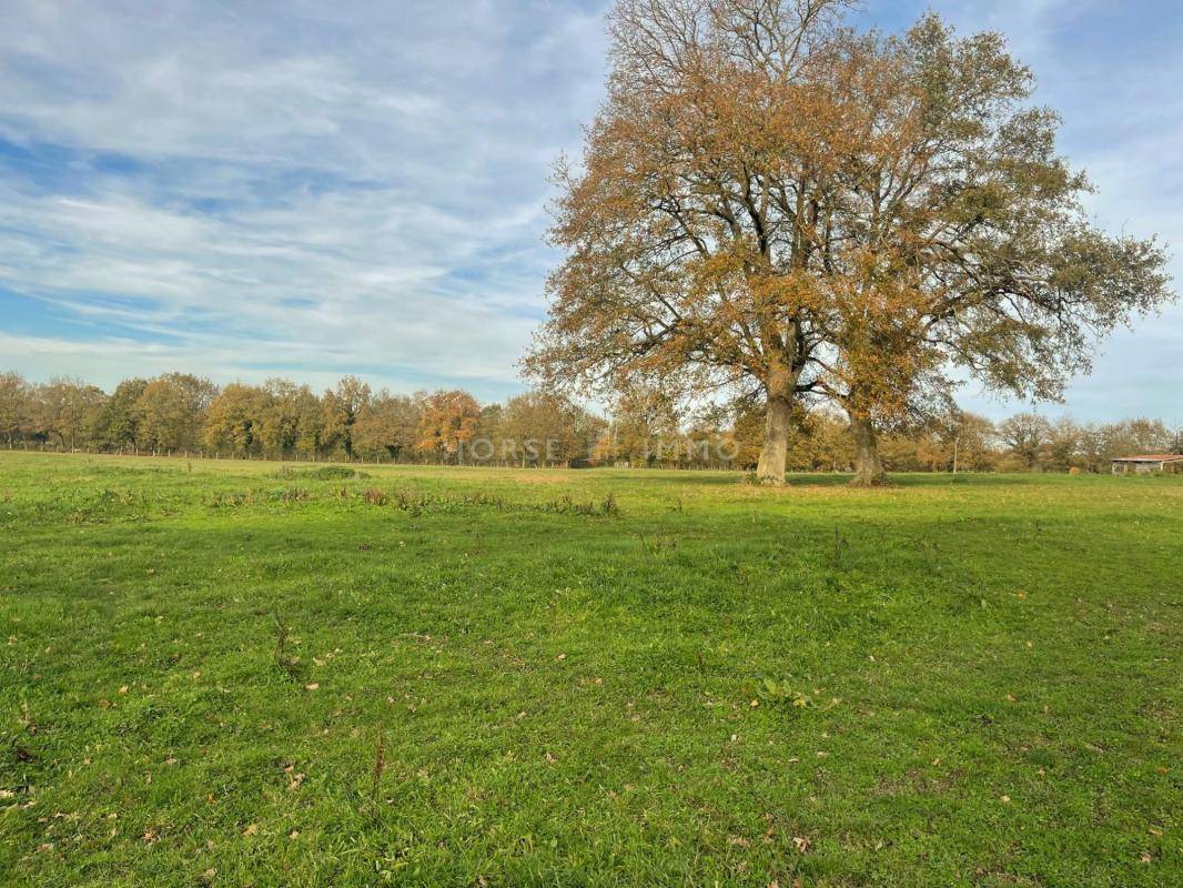 Propriété Equestre 10 hectares, idéal Premier Achat