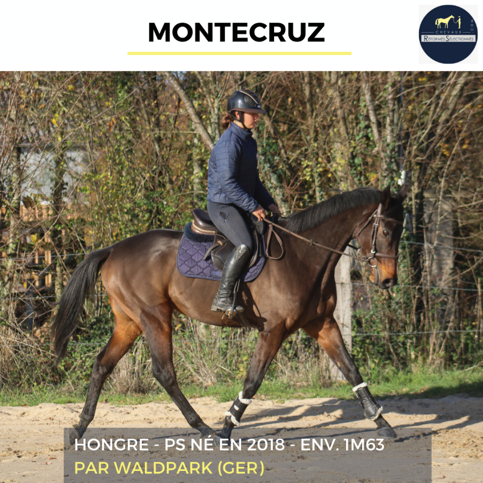 MONTECRUZ - PS - 7 ANS
