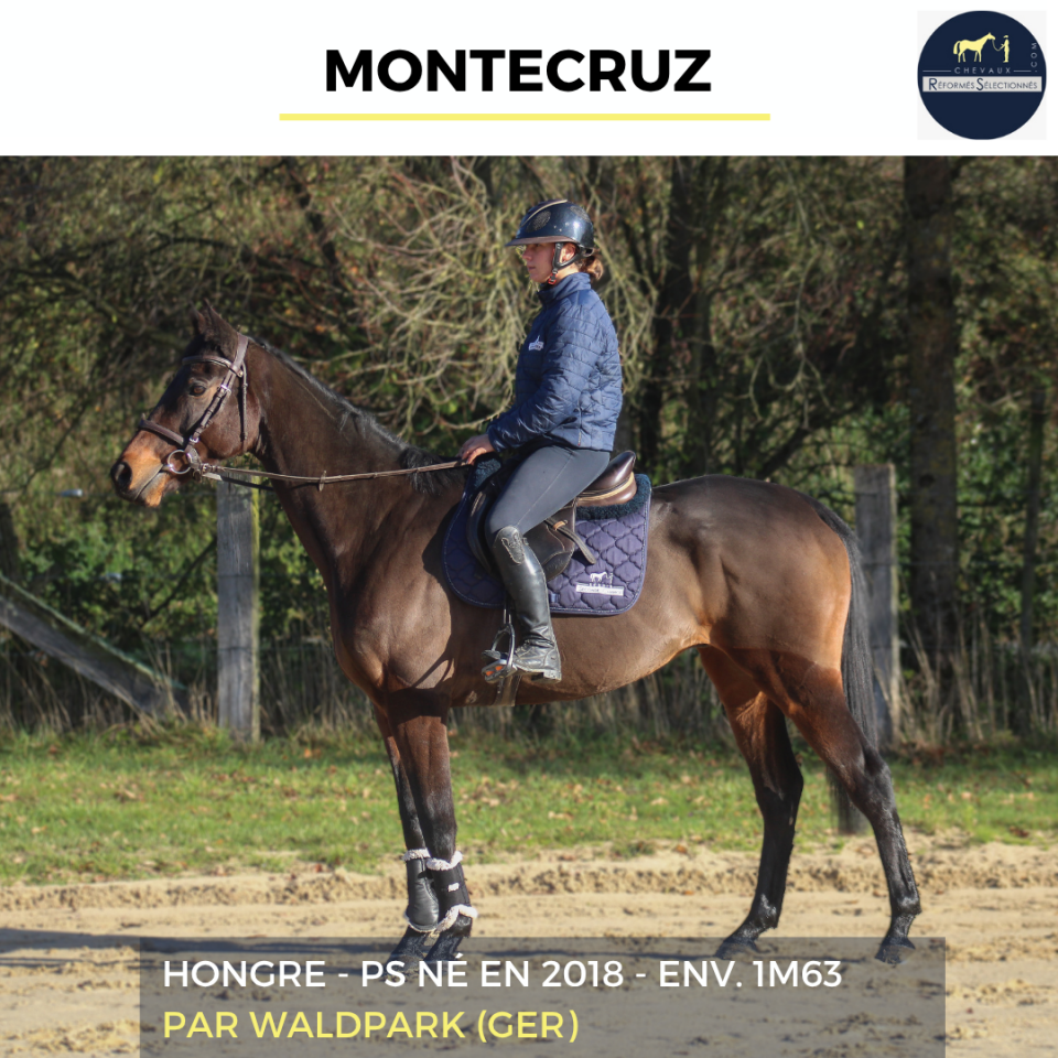 MONTECRUZ - PS - 7 ANS