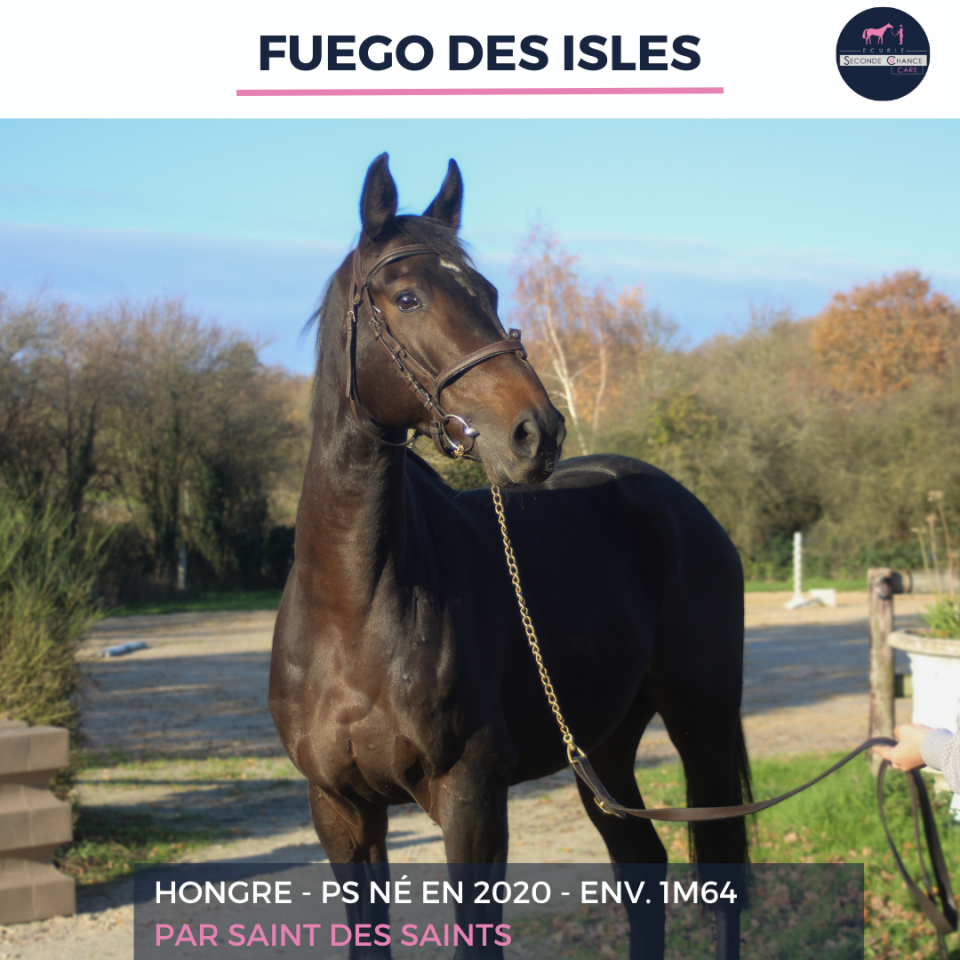 FUEGO DES ISLES - PS - 5 ANS
