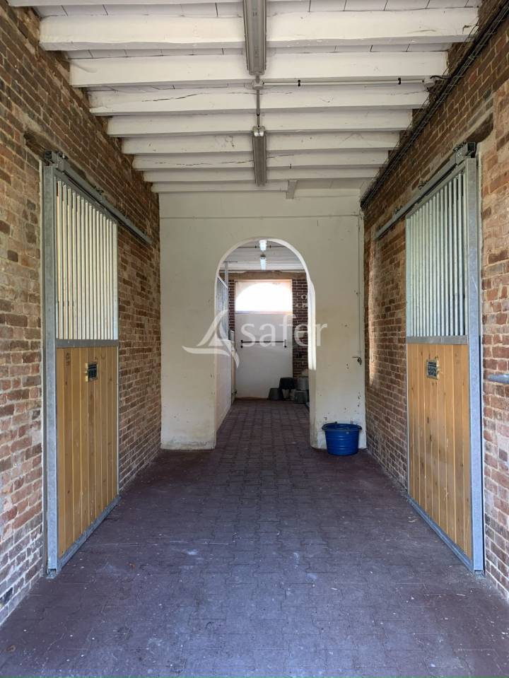 Chevaux de Sport - Haras - Ecuries - Centre Equestre