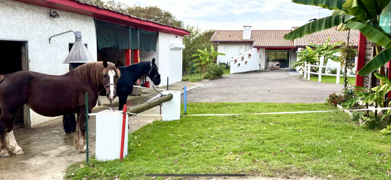 Propriété 184m2 sur 3,5 HA,piscine, dépendances 