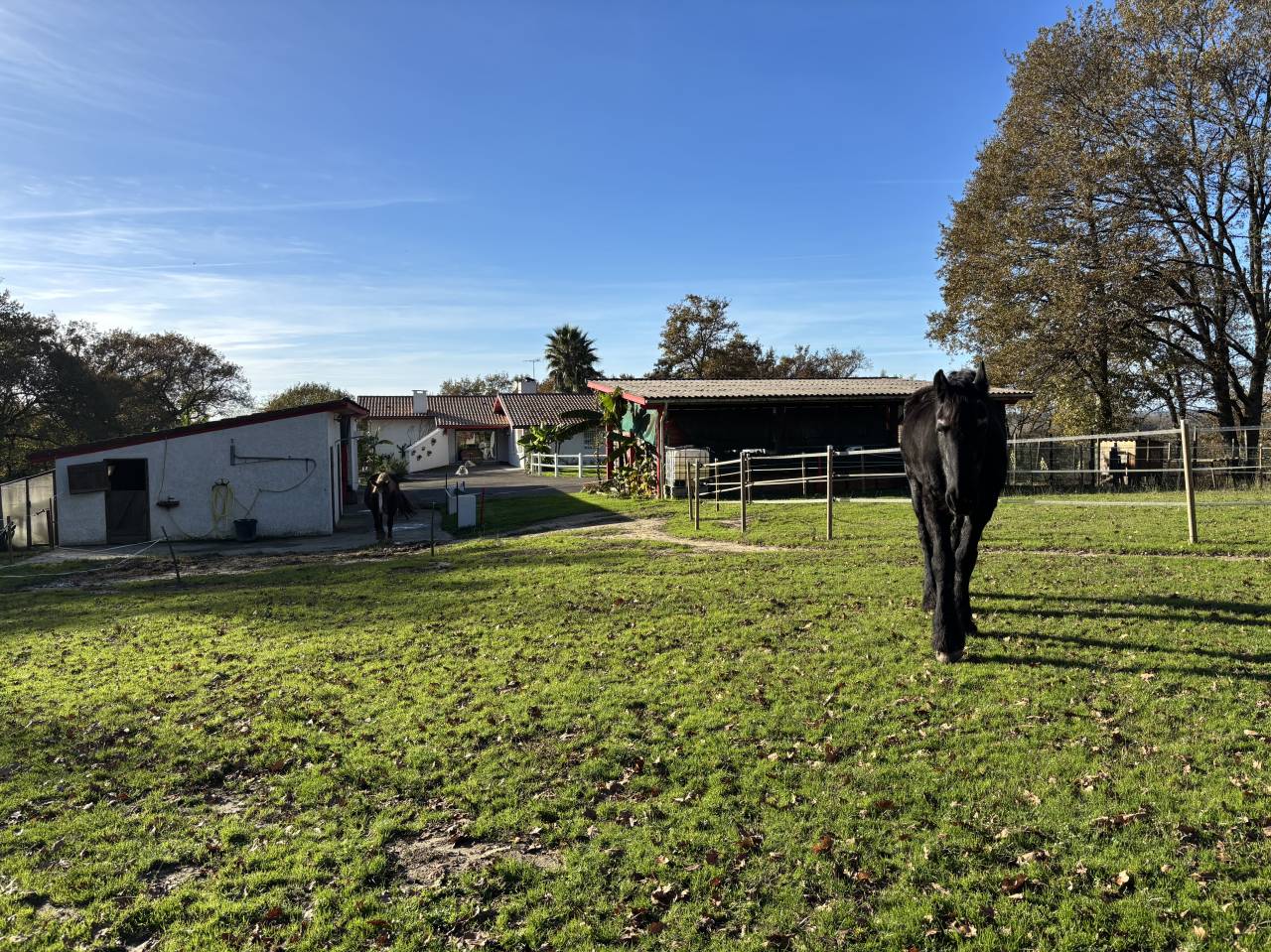 Propriété 184m2 sur 3,5 HA,piscine, dépendances 