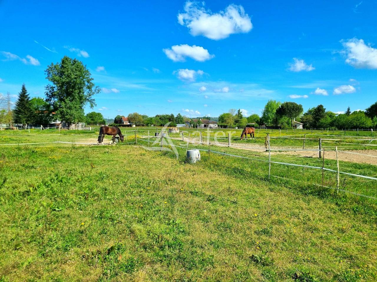 Joli Centre Equestre pr&ecirc;t &agrave; reprendre secteur Montauban