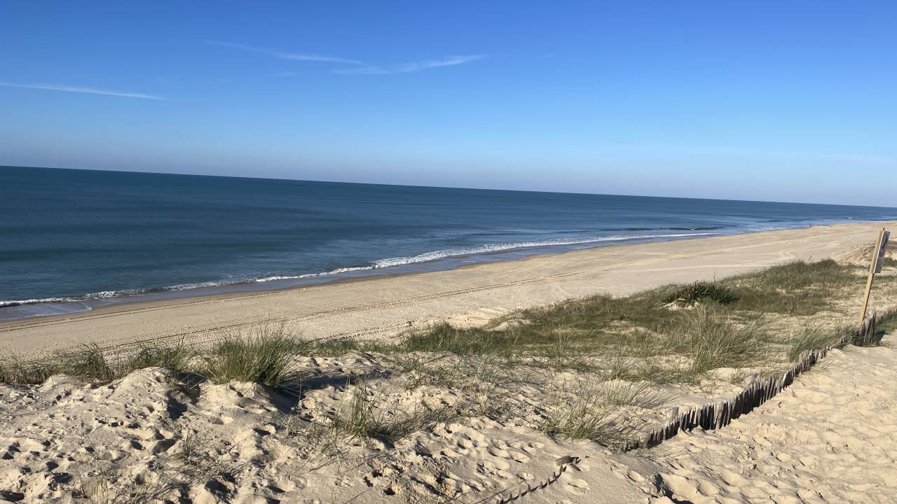 Maison dans la fôret proche océan 4 a 6 cavaliers