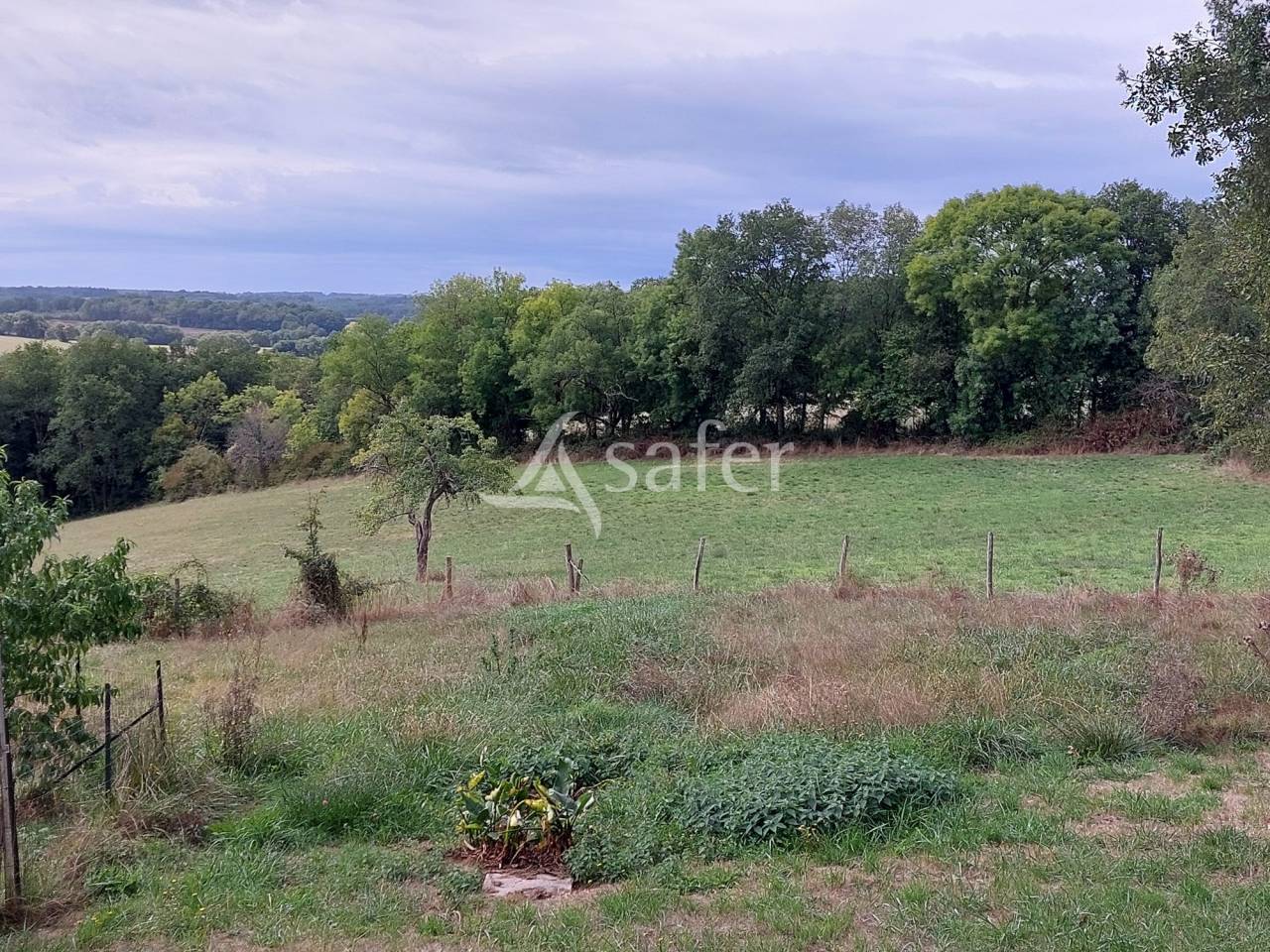 Maison de maître et gîtes sur 11ha en Périgord vert