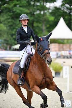 top jument CSO Zangersheide  Amateur Elite et CSI *