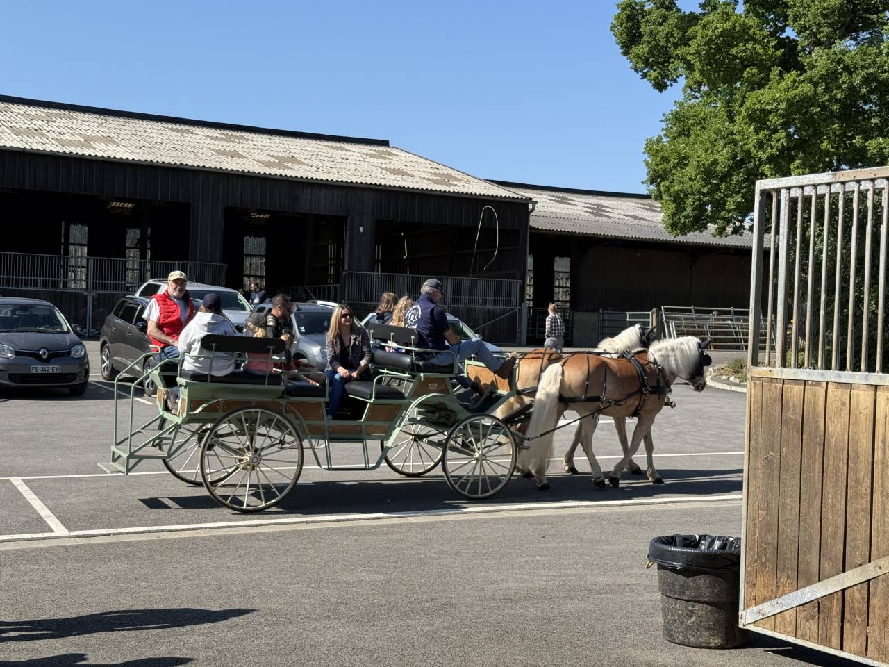 Vends poney HALFINGERS 9 ans