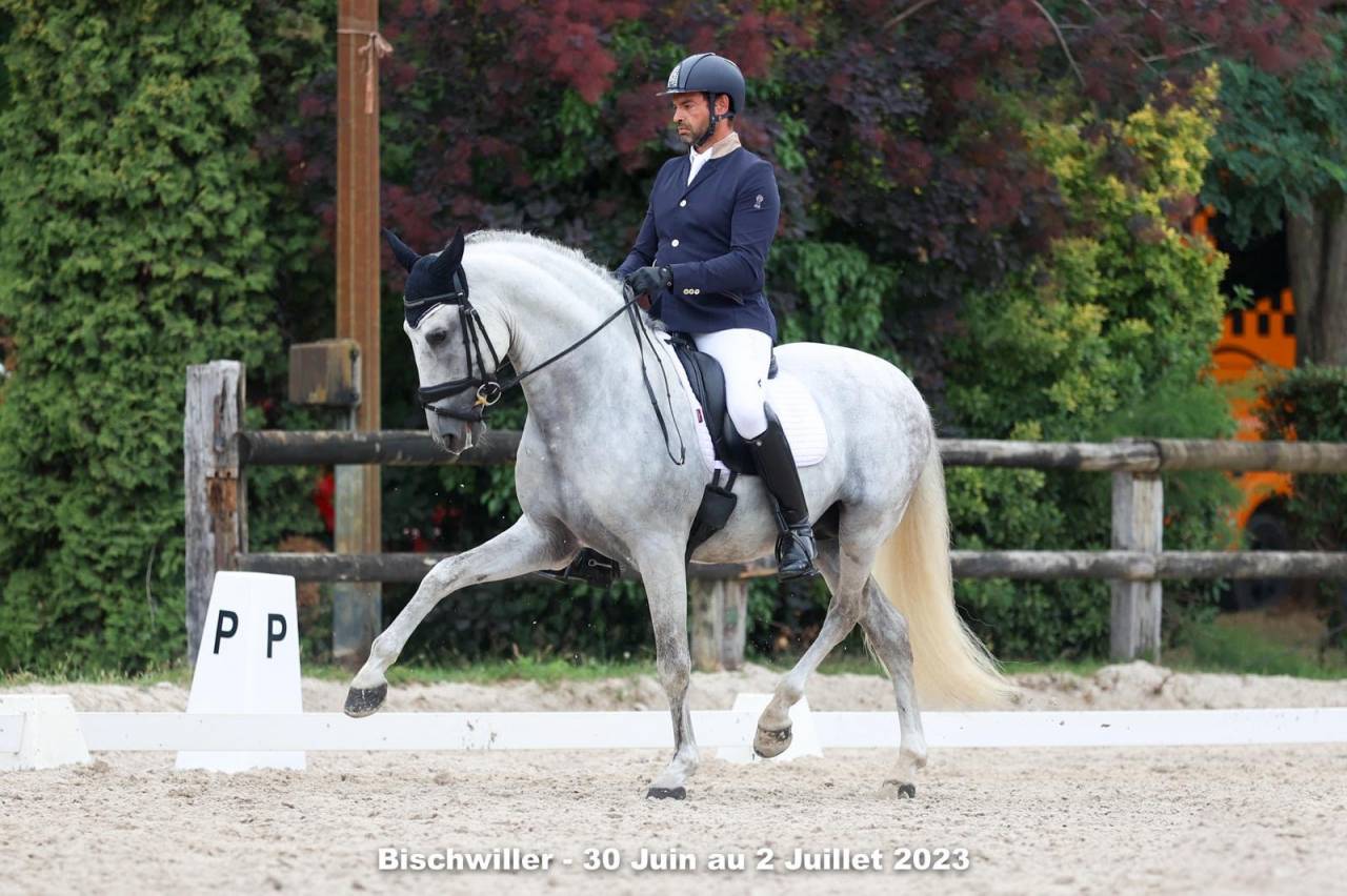 Magnifique entier PRE 14 ANS