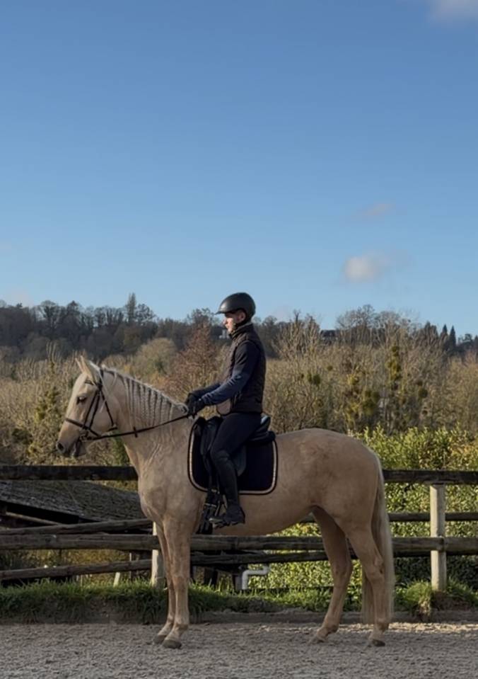 Jument PR&Eacute; palomina 163cm 4 ans debourree 