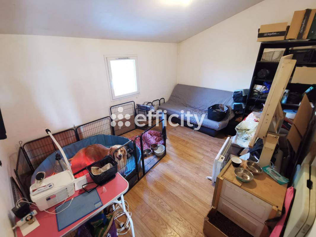 Propriété équestre