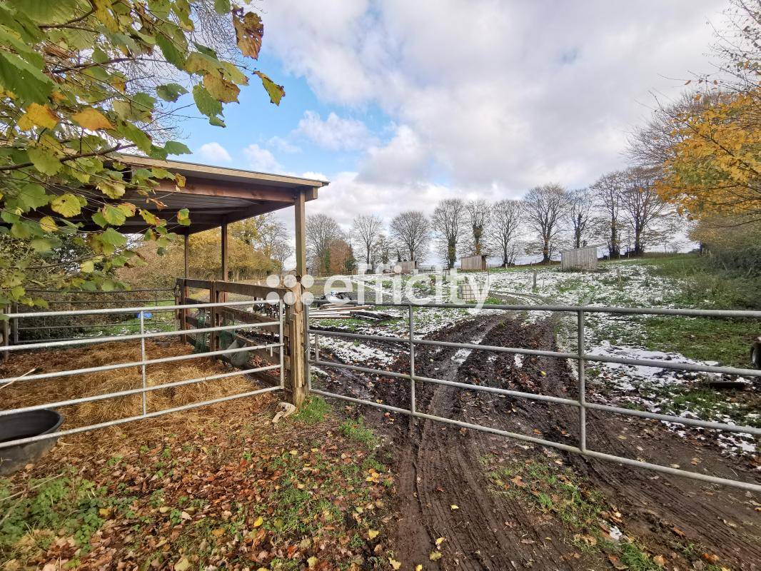 Propriété équestre