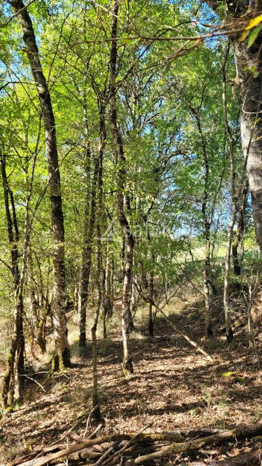 Corps de ferme 18 hectares d'un seul tenant idéal projet éleva