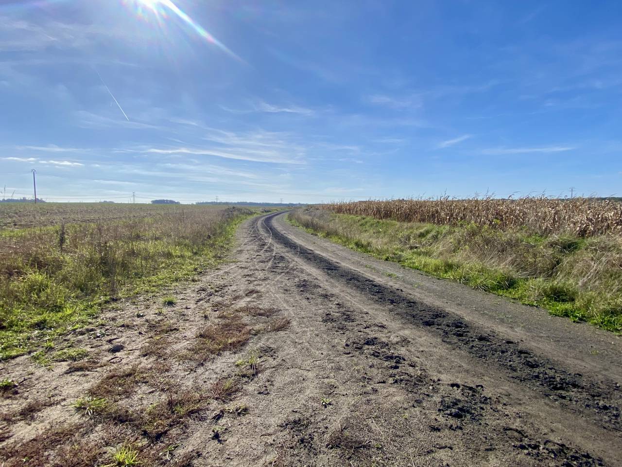 Ecurie - 4,5 hectares - Proche Provins