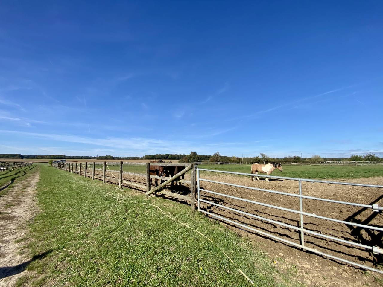 Ecurie - 4,5 hectares - Proche Provins