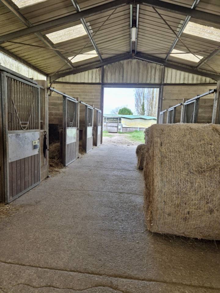 Ecurie - 4,5 hectares - Proche Provins
