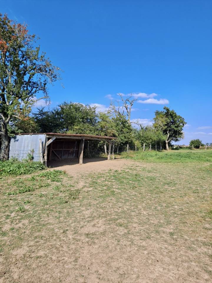 Ecurie - 4,5 hectares - Proche Provins