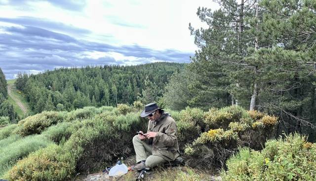 À VENDRE ! Top ponette PP connemara 9 ans 