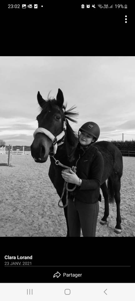 Petite jument pur sang au grand coeur