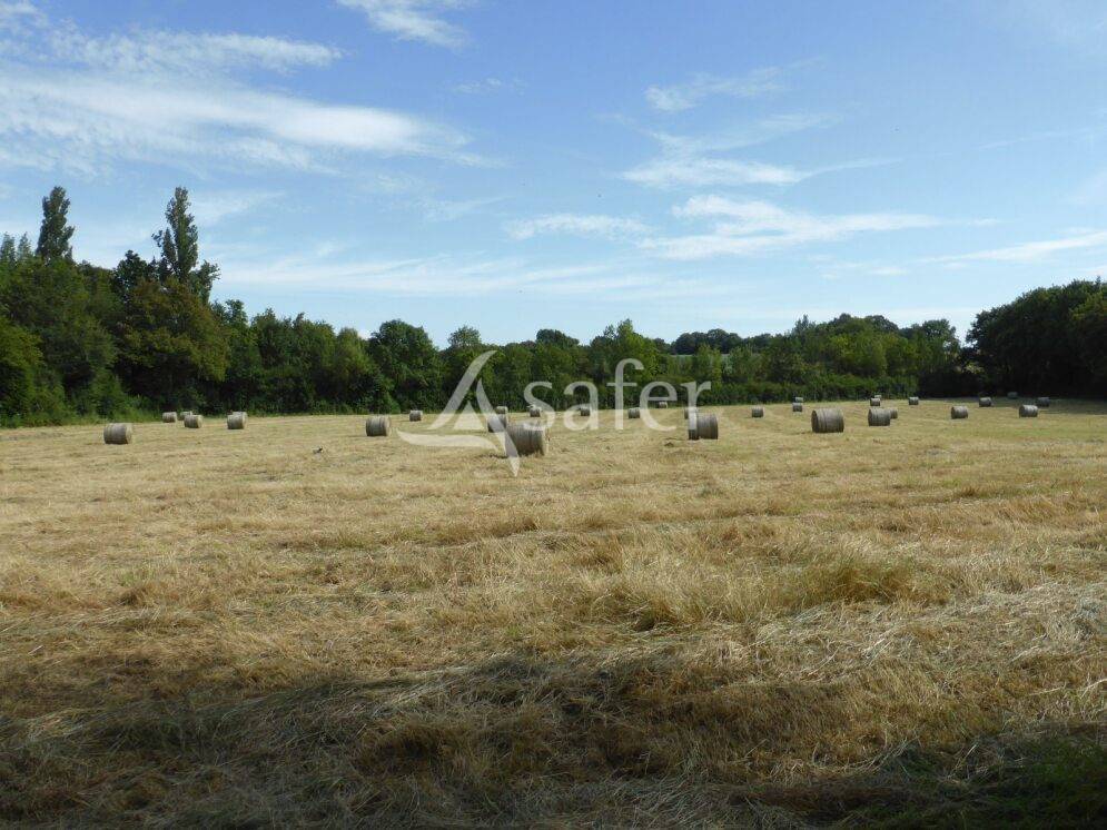 Magnifique propriété sur 15h au nord de Louhans