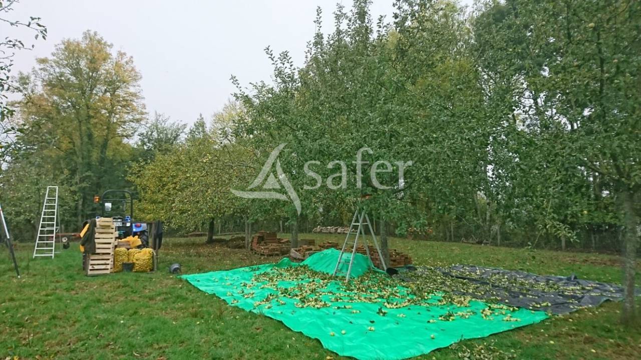 Magnifique propriété sur 15h au nord de Louhans