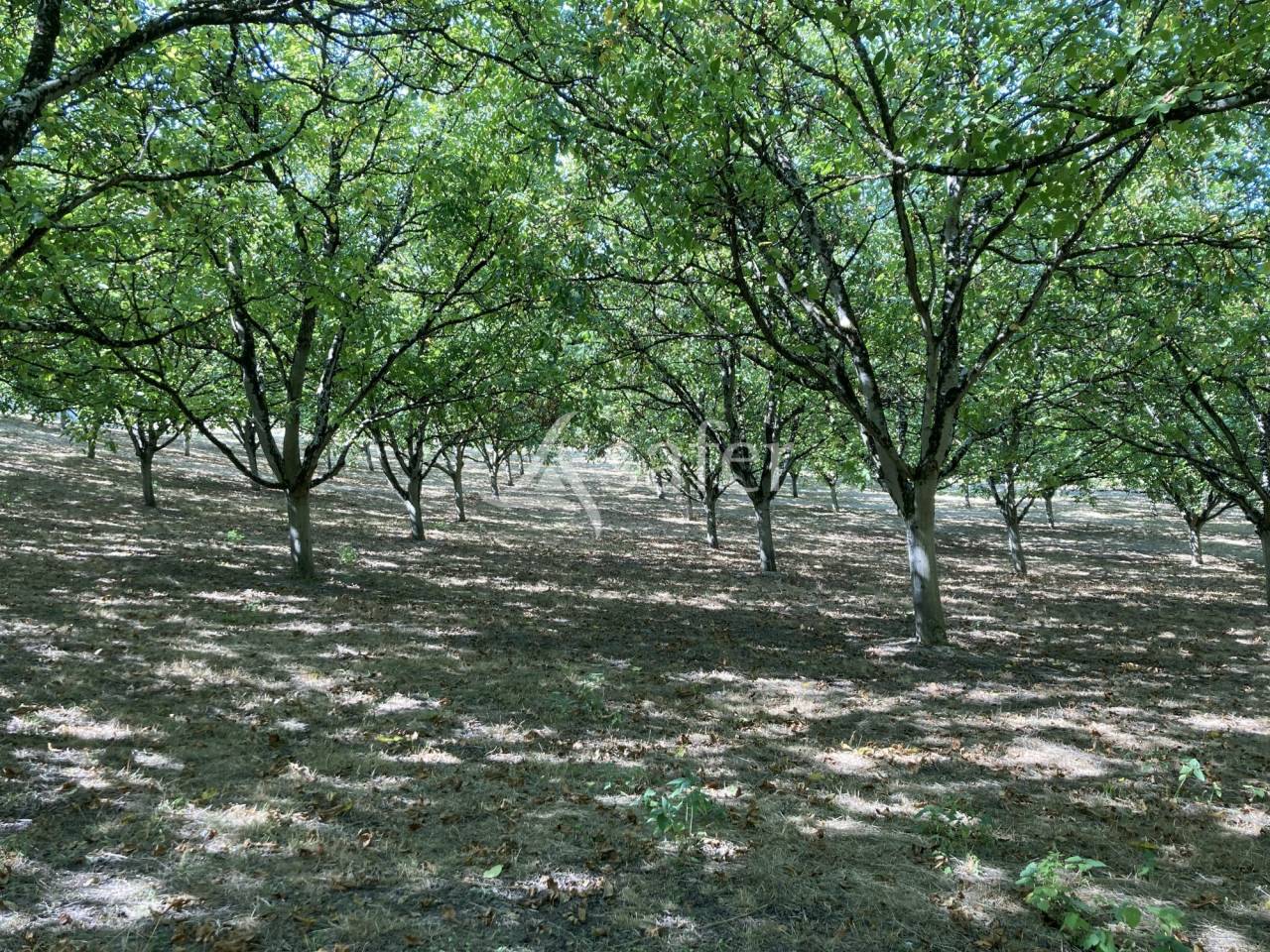Propriété agricole BIO sur 12ha