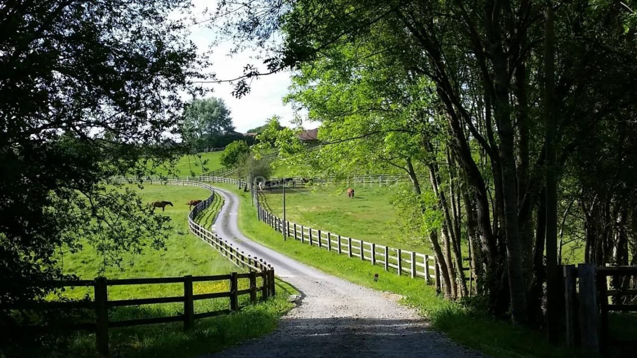 Idéal élevage ou entraînement : domaine équestre 70 ha