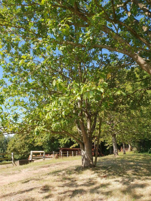 Idéal élevage ou entraînement : domaine équestre 70 ha