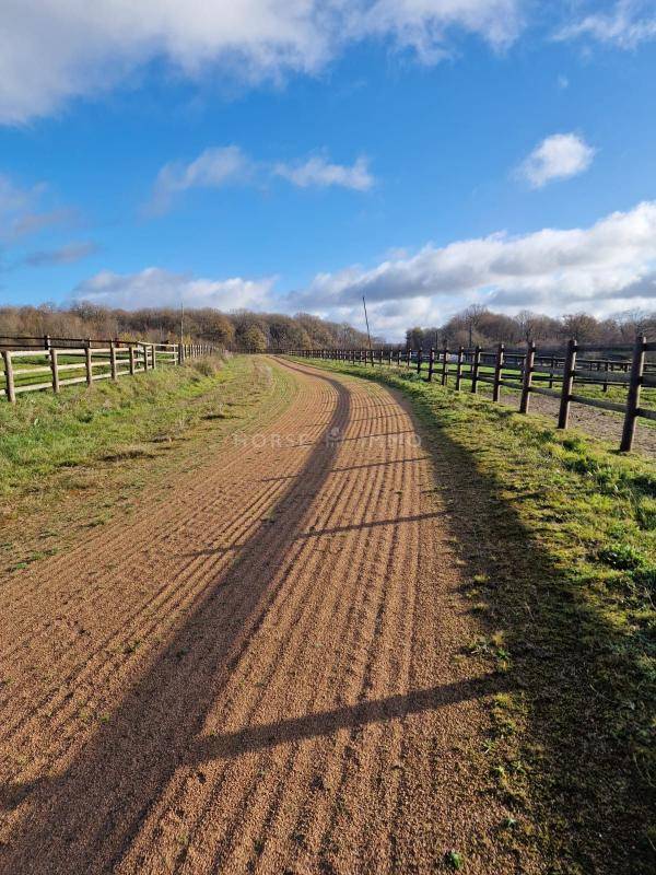 Idéal élevage ou entraînement : domaine équestre 70 ha