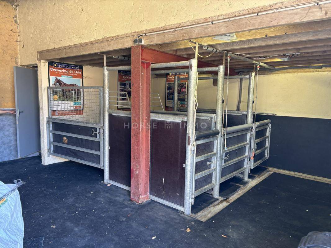 Idéal élevage ou entraînement : domaine équestre 70 ha