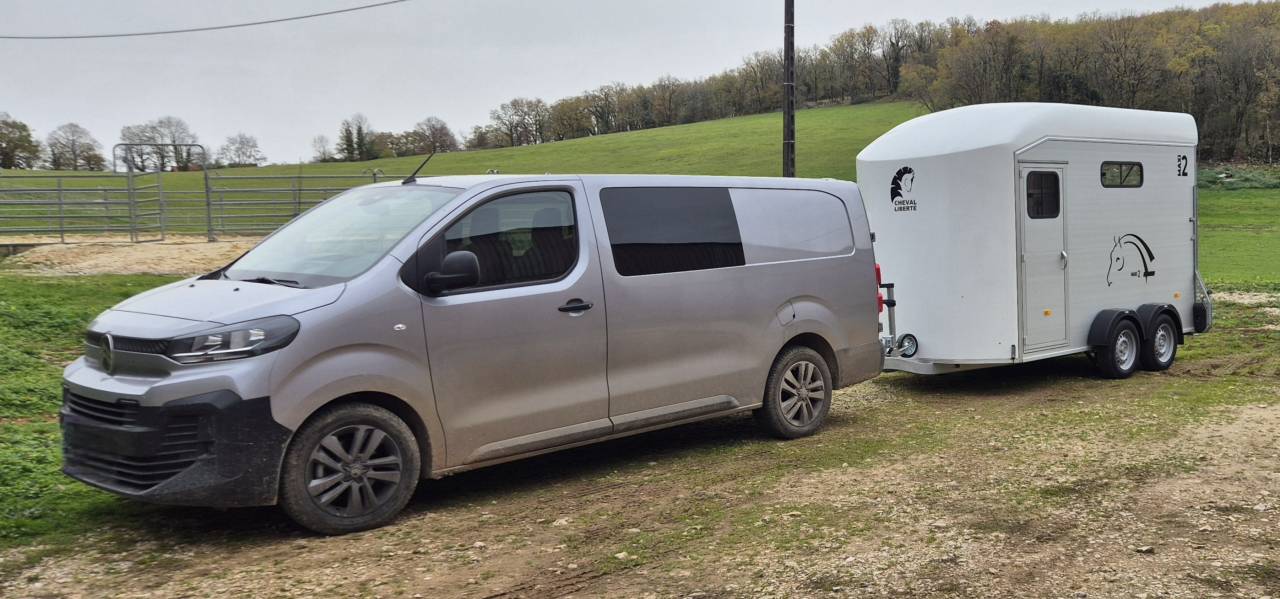 Transport d’équidés 