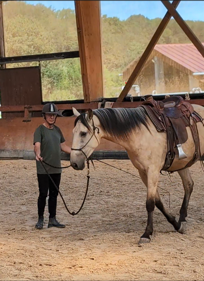 MARUJO, hongre PRE prometteur et valeur sûre