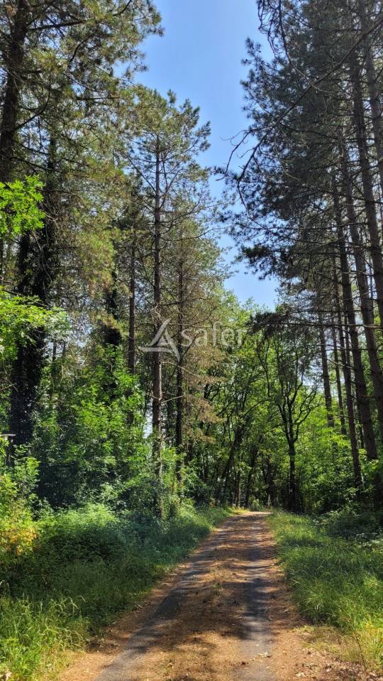 Domaine d'exception dans le Tarn : 2 maisons d'habitations, écu