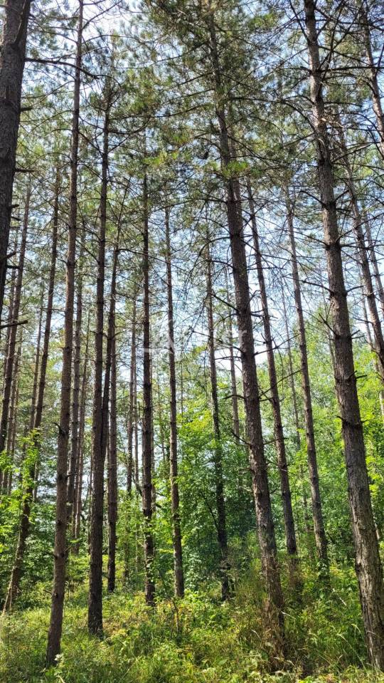 Domaine d'exception dans le Tarn : 2 maisons d'habitations, écu