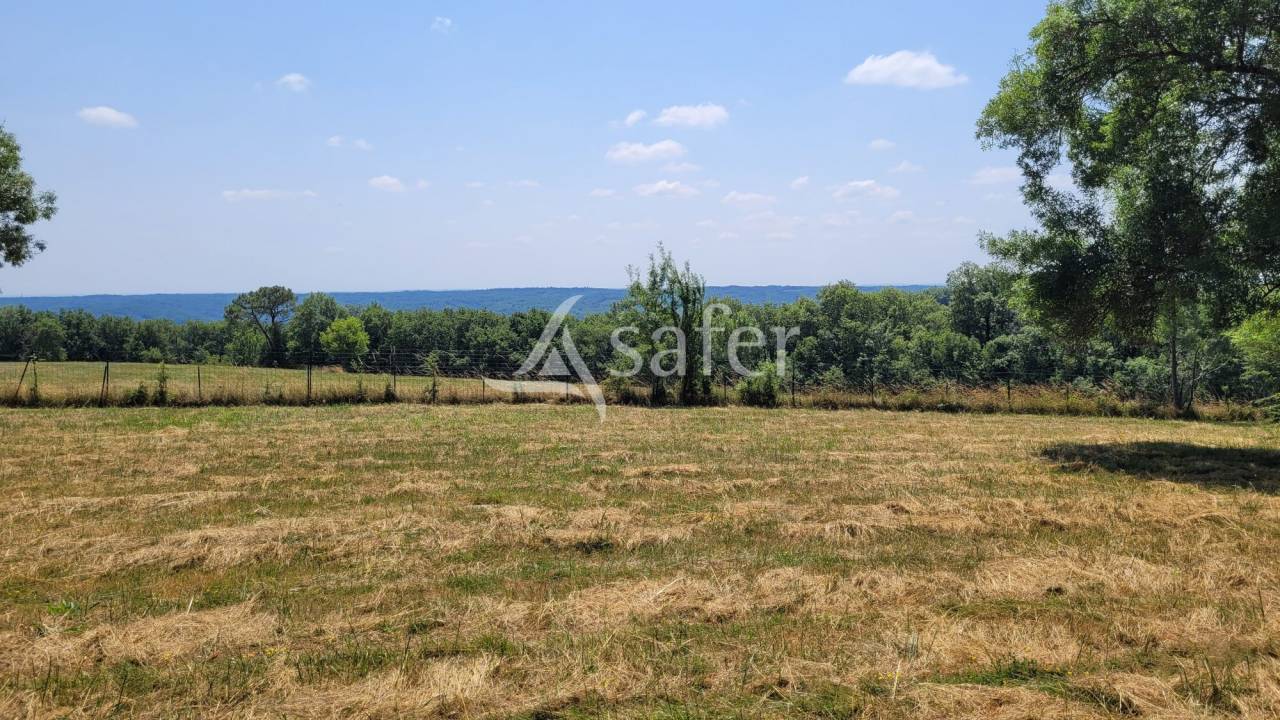 Domaine d'exception dans le Tarn : 2 maisons d'habitations, écu