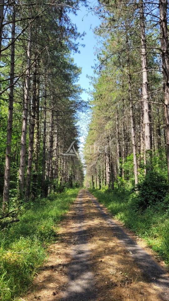 Domaine d'exception dans le Tarn : 2 maisons d'habitations, écu