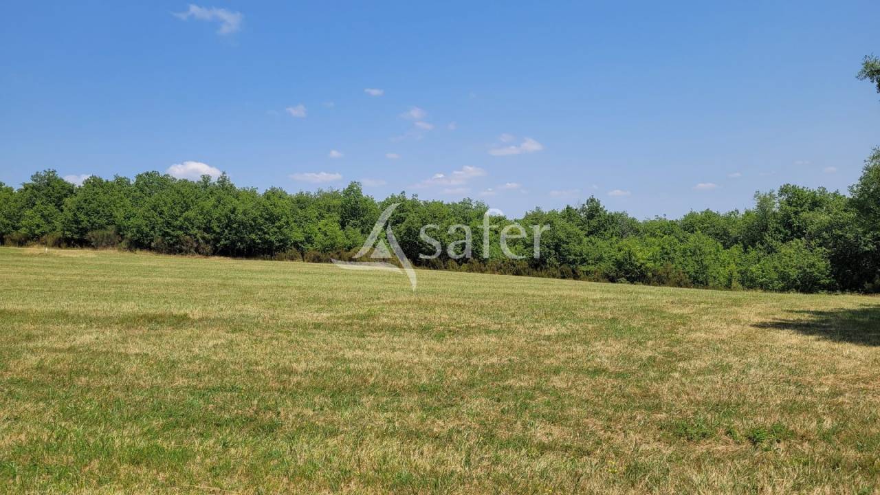 Domaine d'exception dans le Tarn : 2 maisons d'habitations, &eacute;cu